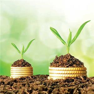 حسابداری سبز