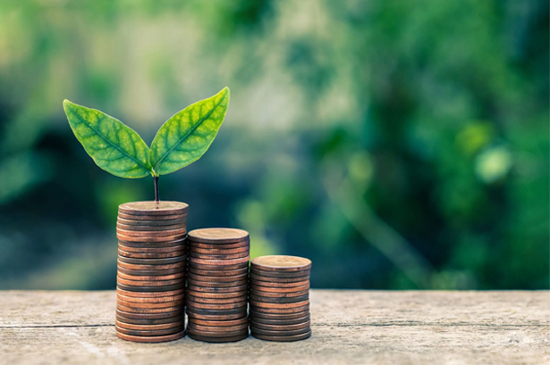 مفهوم حسابداری سبز